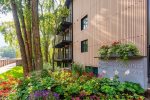 Summer exterior